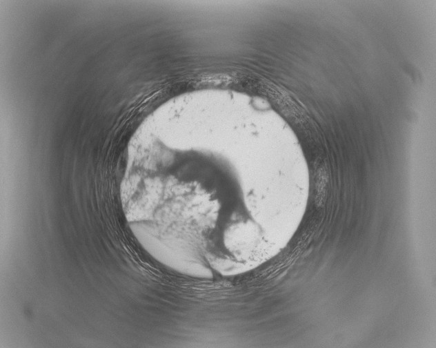 X0000114171394200911191237