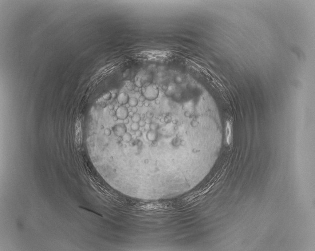 X0000114171395200911191237