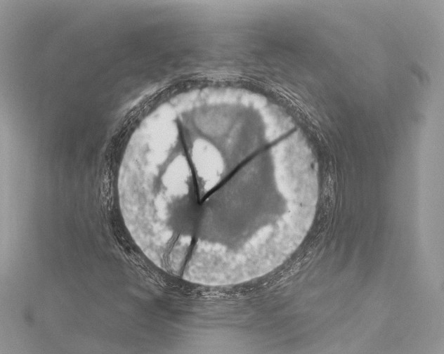 X0000114171398200911191237