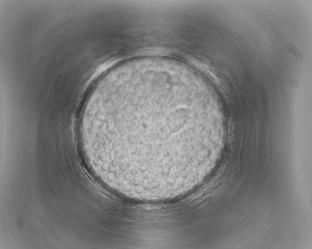 X0000114171404200911191237