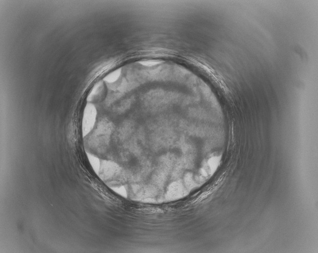 X0000114171405200911191237