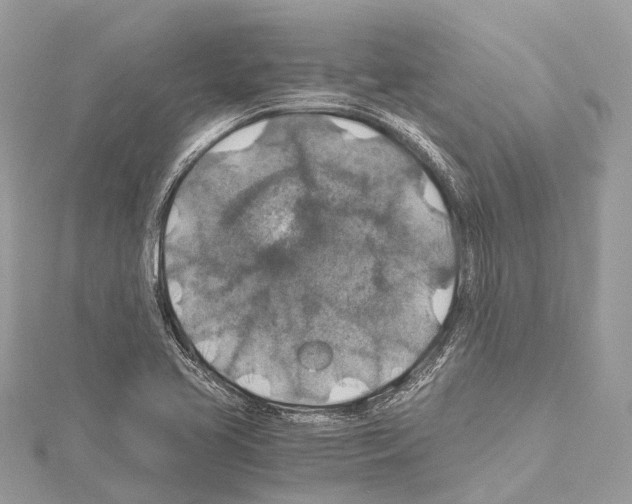 X0000114171413200911191237