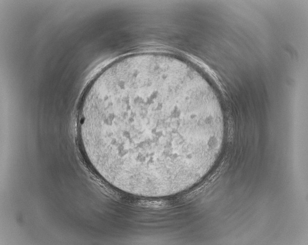 X0000114171415200911191237