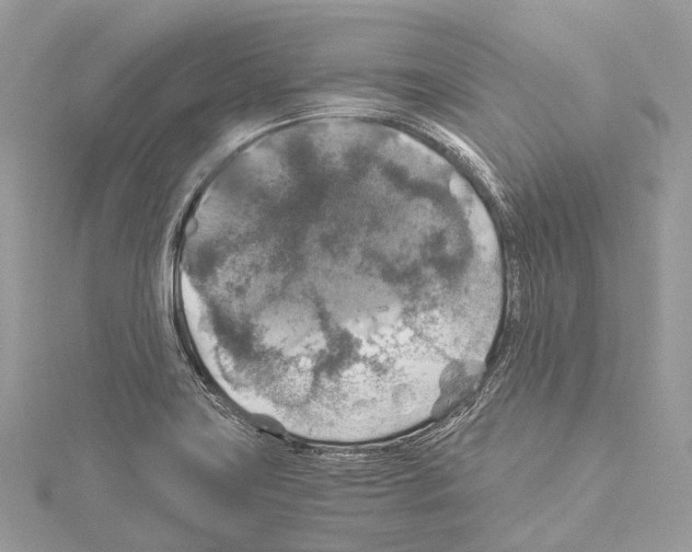 X0000114171419200911191237