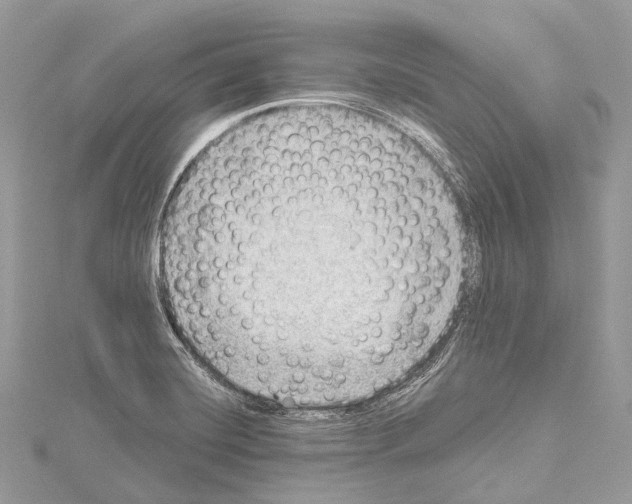 X0000114171420200911191237