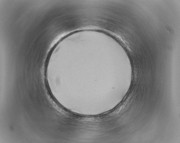 X0000114171422200911191237