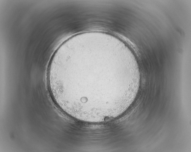 X0000114171423200911191237