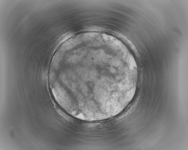 X0000114171425200911191237