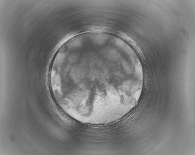 X0000114171427200911191237