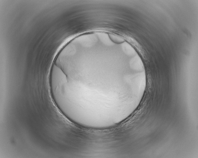 X0000114171428200911191237