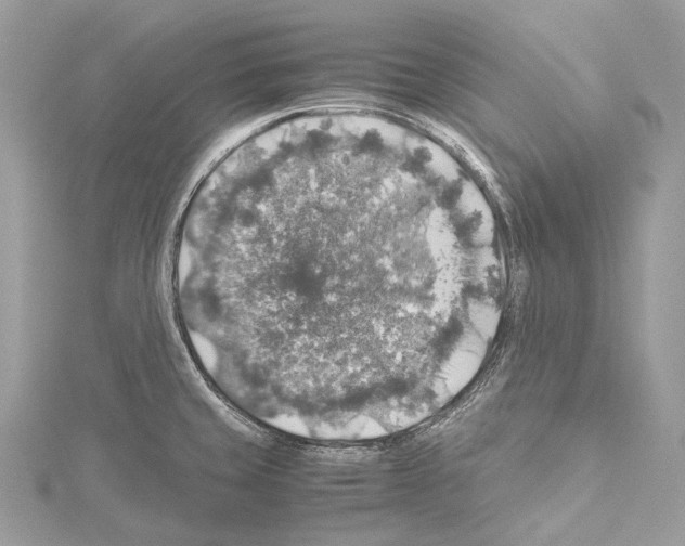 X0000114171429200911191237