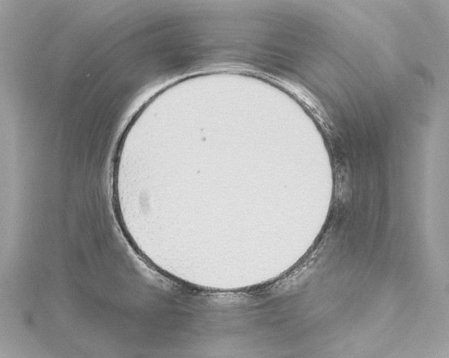 X0000114171430200911191237