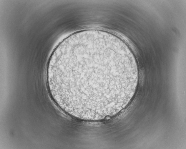 X0000114171432200911191237