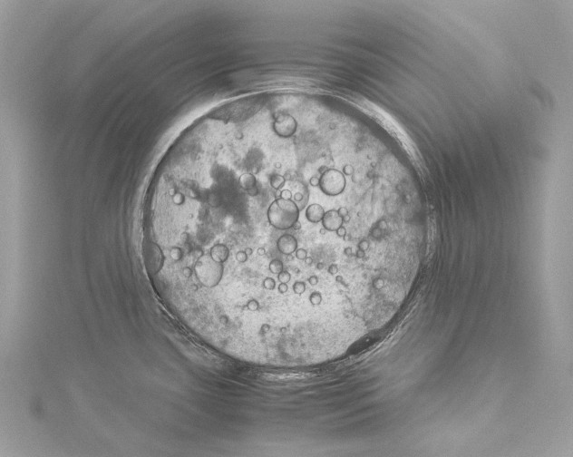 X0000114171435200911191237