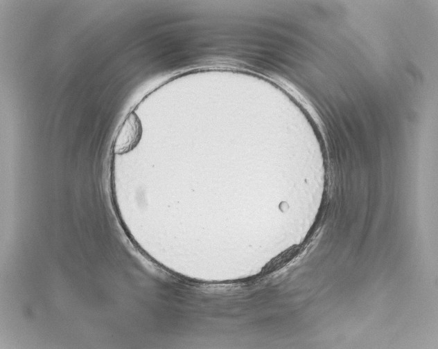 X0000114171437200911191237