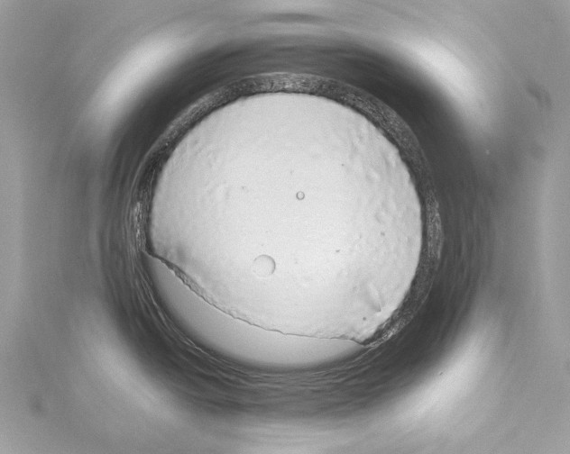 X0000114171438200911191237