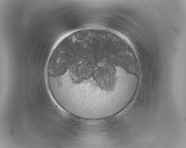 X0000114171440200911191238