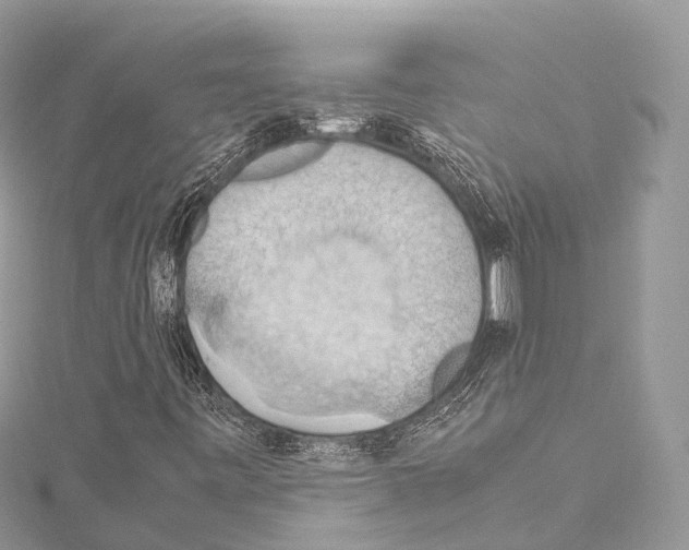 X0000114171443200911191237