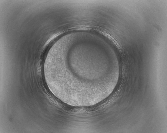 X0000114171450200911191237