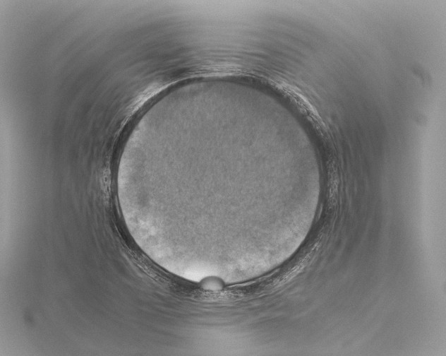 X0000114171457200911191237