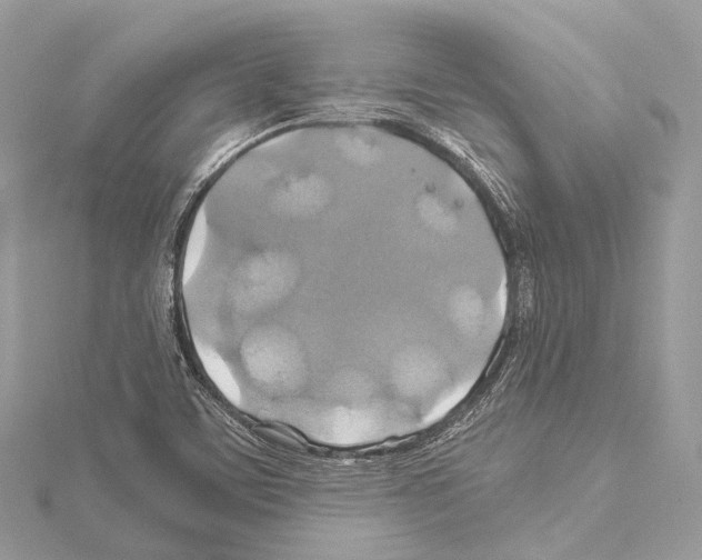 X0000114171459200911191237