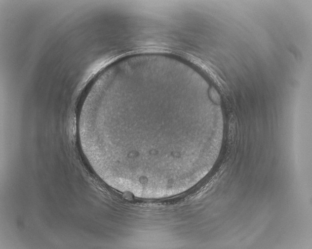 X0000114171461200911191236