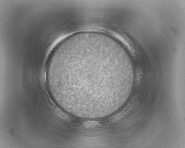 X0000114171462200911191236