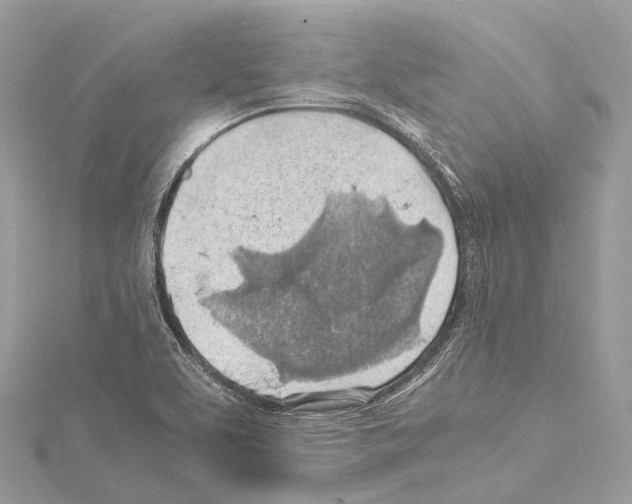 X0000114171463200911191236