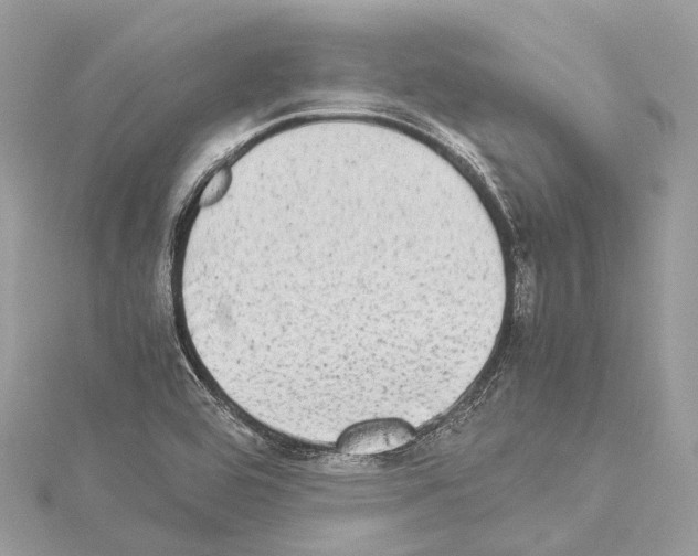 X0000114171464200911191236