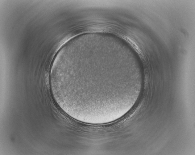 X0000114171465200911191236