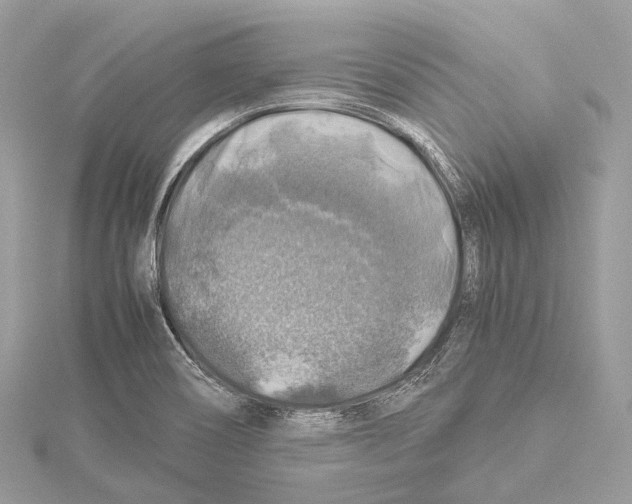 X0000114171466200911191236