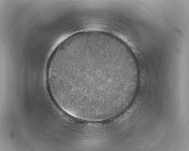 X0000114171469200911191236