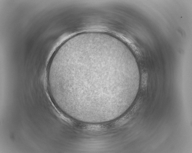 X0000114171470200911191236