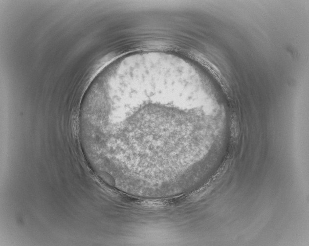 X0000114171473200911191236