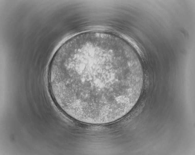 X0000114171475200911191236