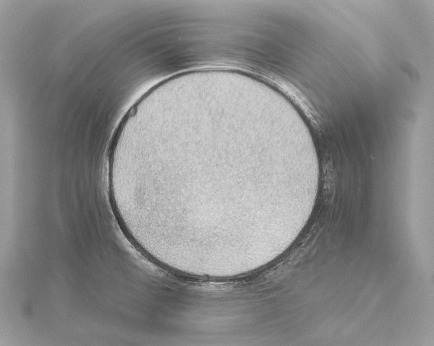 X0000114171476200911191236