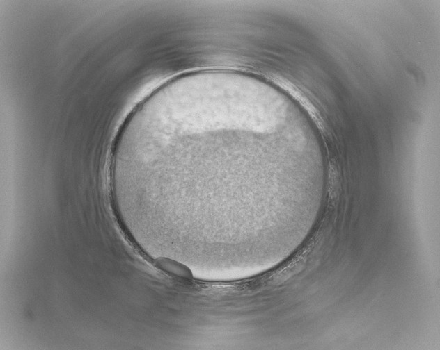 X0000114171477200911191236