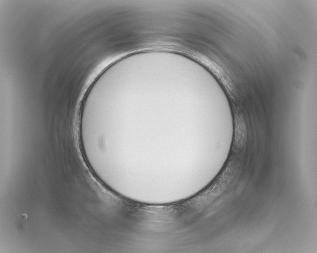 X0000114171478200911191236