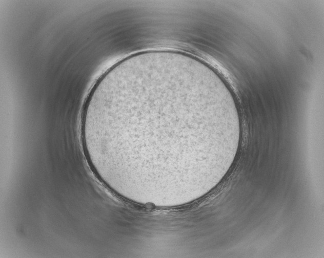 X0000114171480200911191236