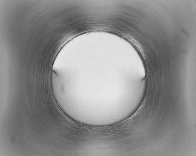 X0000114171481200911191236