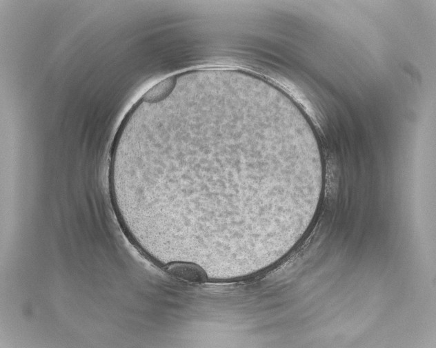 X0000114171484200911191236