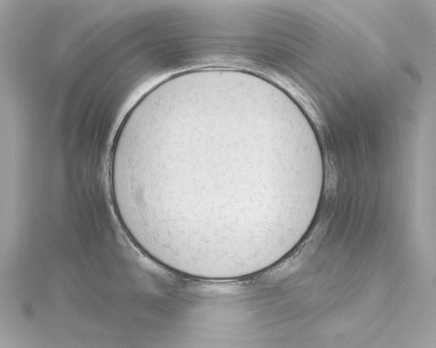 X0000114171486200911191236