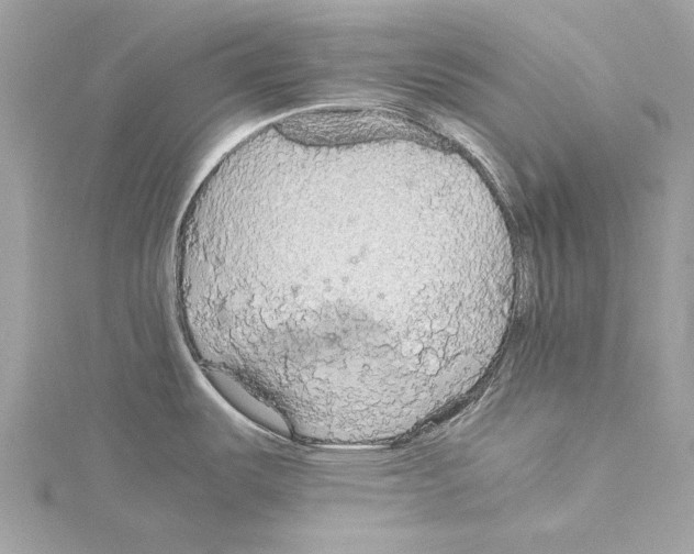 X0000114171487200911191236