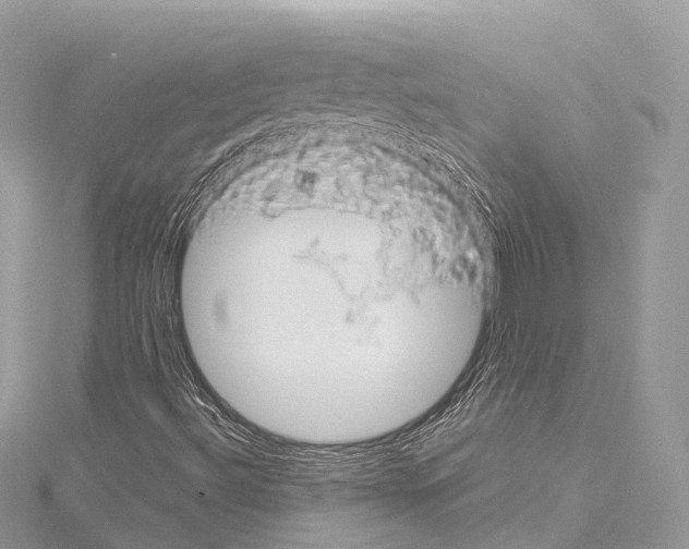 X0000114171492200911191235