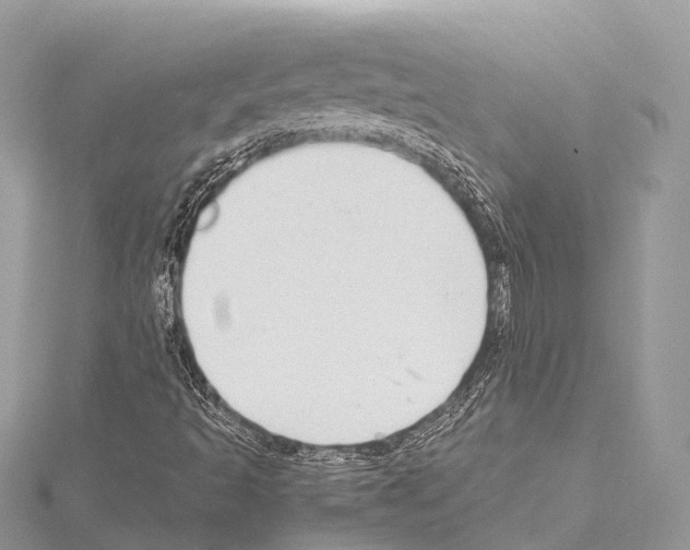 X0000114171493200911191235