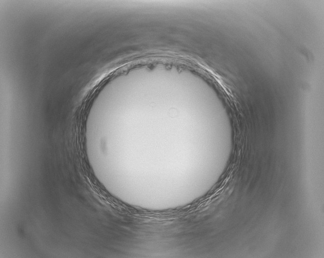 X0000114171496200911191235