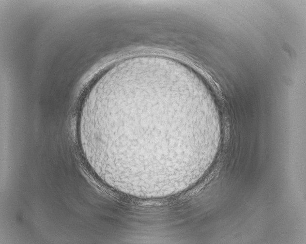 X0000114171503200911191236