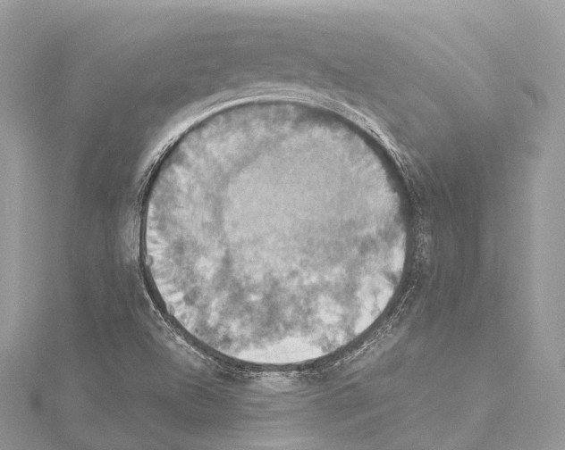 X0000114171504200911191236