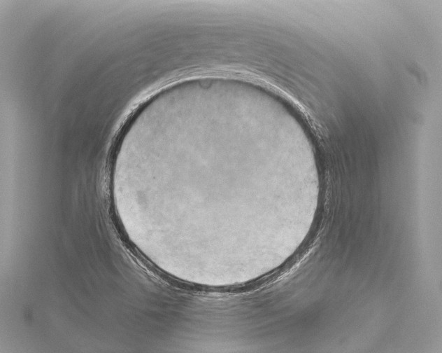 X0000114171506200911191236