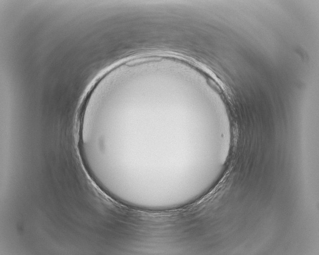 X0000114171508200911191236